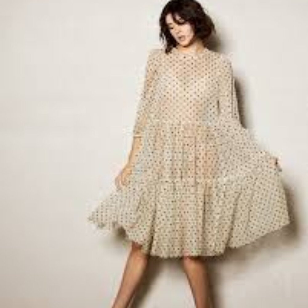 H&M Polka Dot Mesh Dress